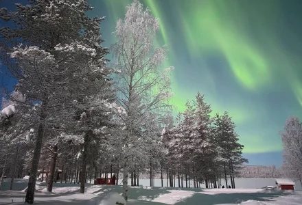 Northern Lights over frozen lake